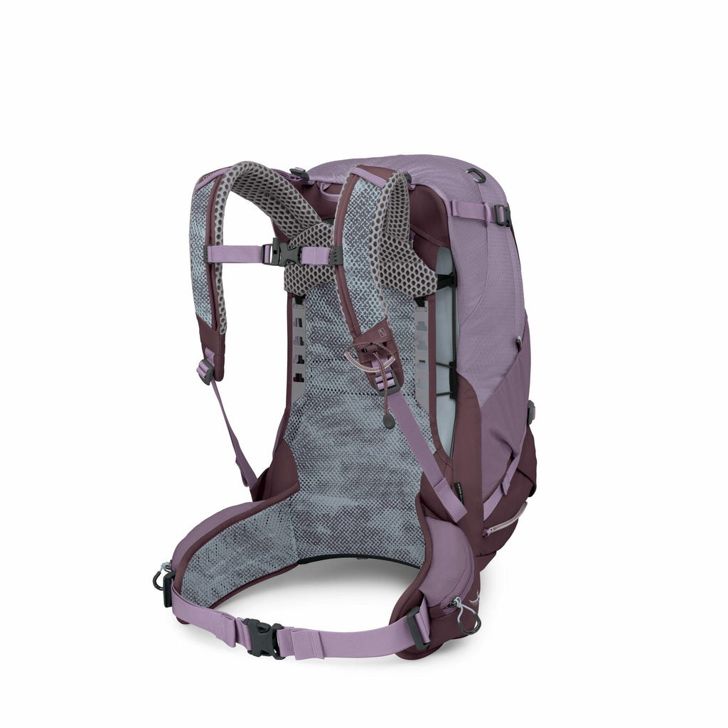 The image features a purple and grey backpack viewed from the back, showcasing its detailed suspension system. The backpack has padded shoulder straps and a waist belt with adjustable buckles, designed to offer comfort and support. The back panel appears