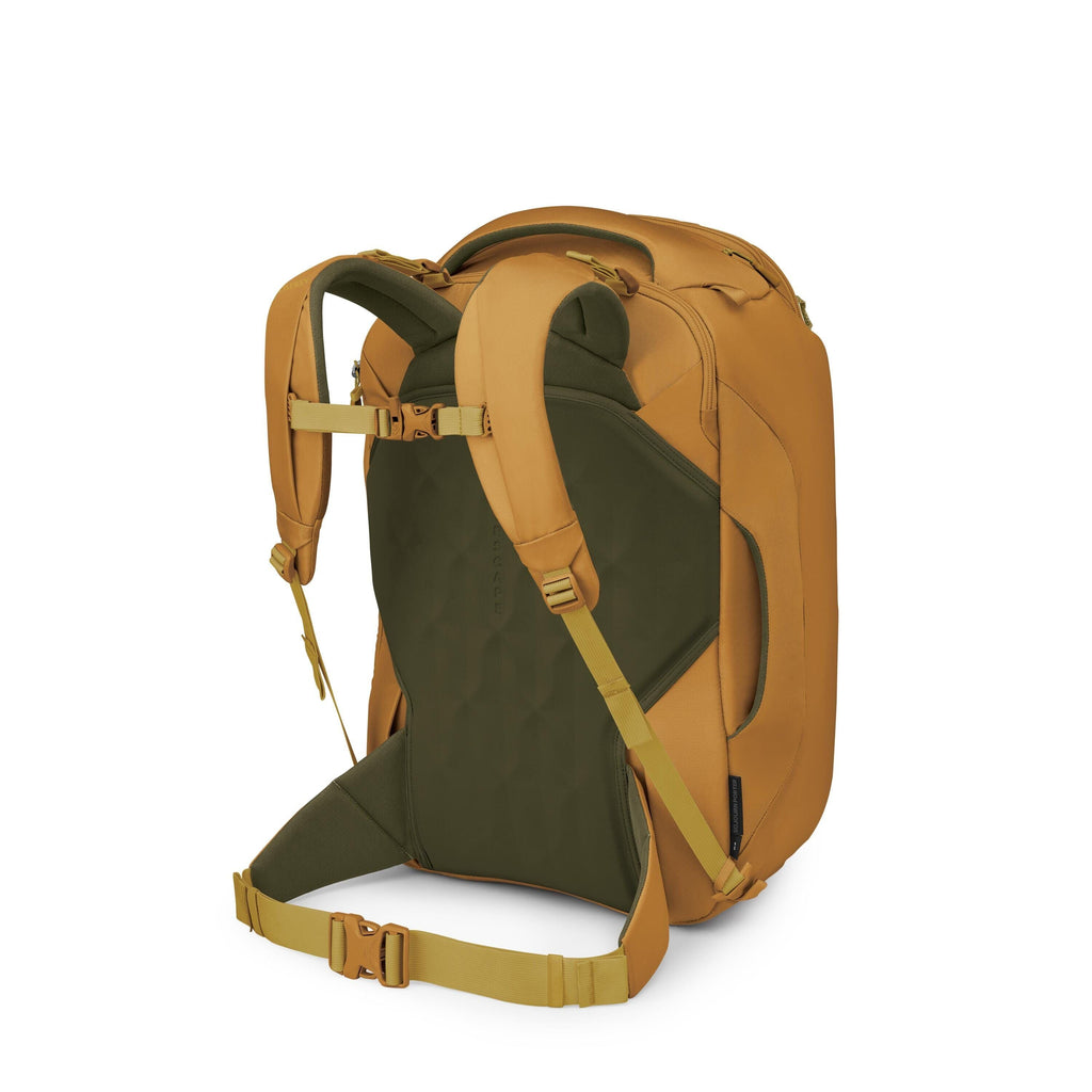 The image shows a mustard-yellow and olive-green travel backpack viewed from the back. It features padded shoulder straps, a sternum strap, and a wide hip belt with a buckle for weight support. The back panel is dark green with a textured, ventilated desi