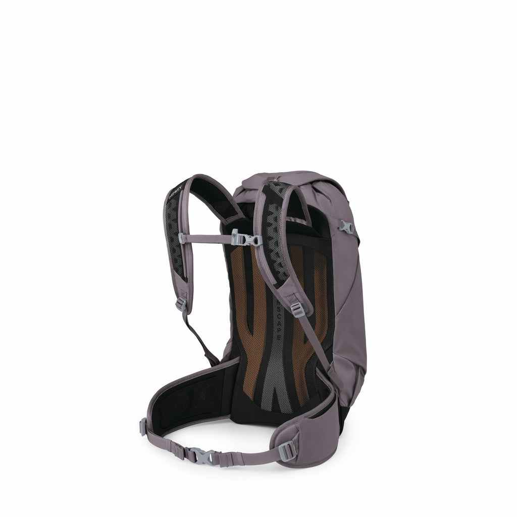 The image depicts a backpack designed for outdoor activities, viewed from the back to showcase its ergonomic features. The backpack is predominantly grey with black and brown accents on the back panel that appears to be padded for comfort, along with the