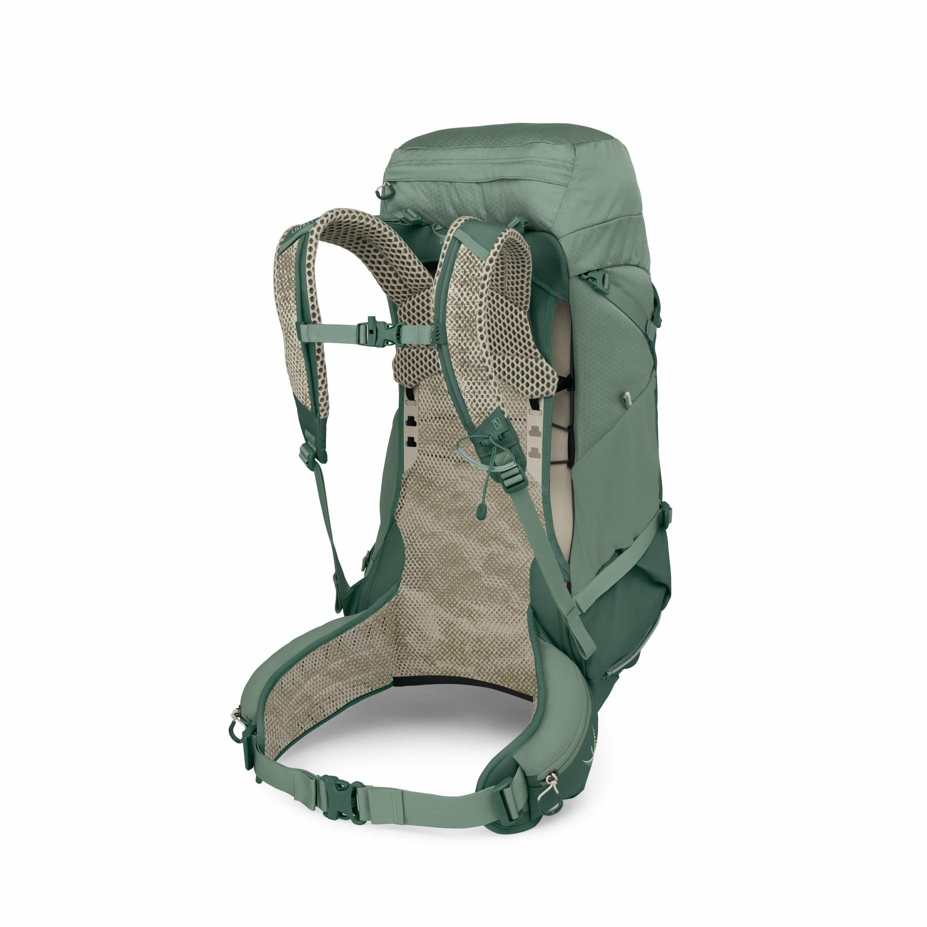 The image shows a green hiking backpack with a focus on its back and strap design. The backpack features a mesh and padding system for ventilation and comfort against the user's back. It has adjustable shoulder straps with a chest buckle for added stabili