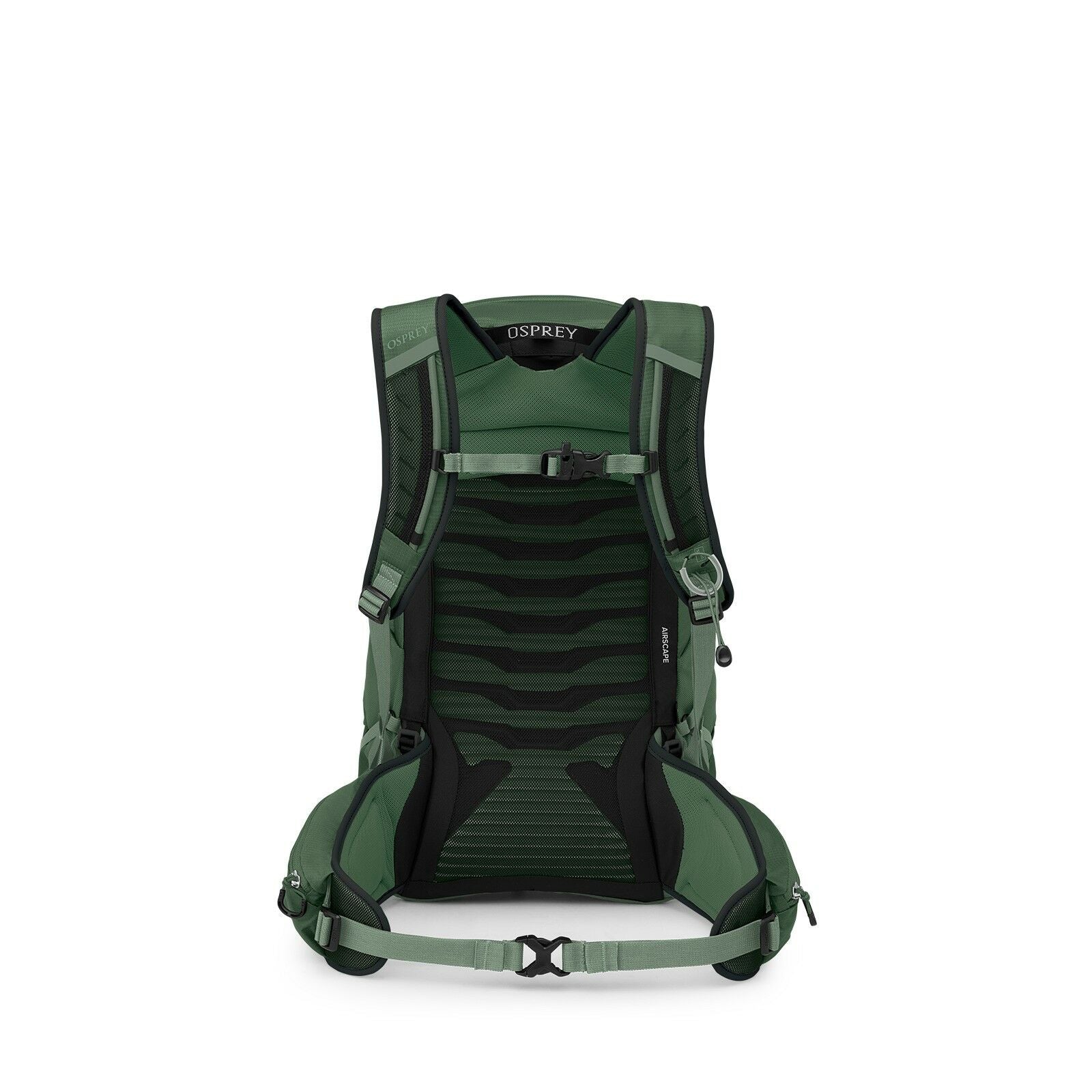Talon™ 22
