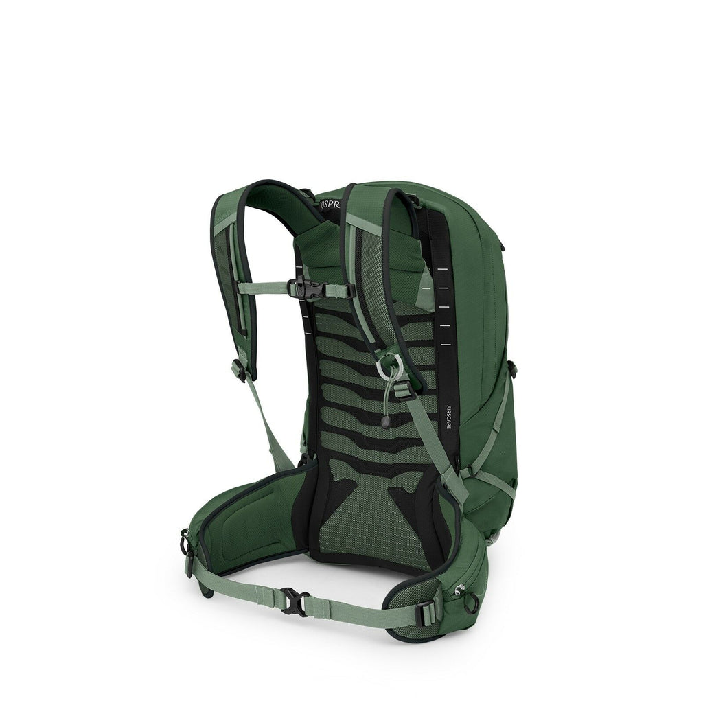 Talon™ 22