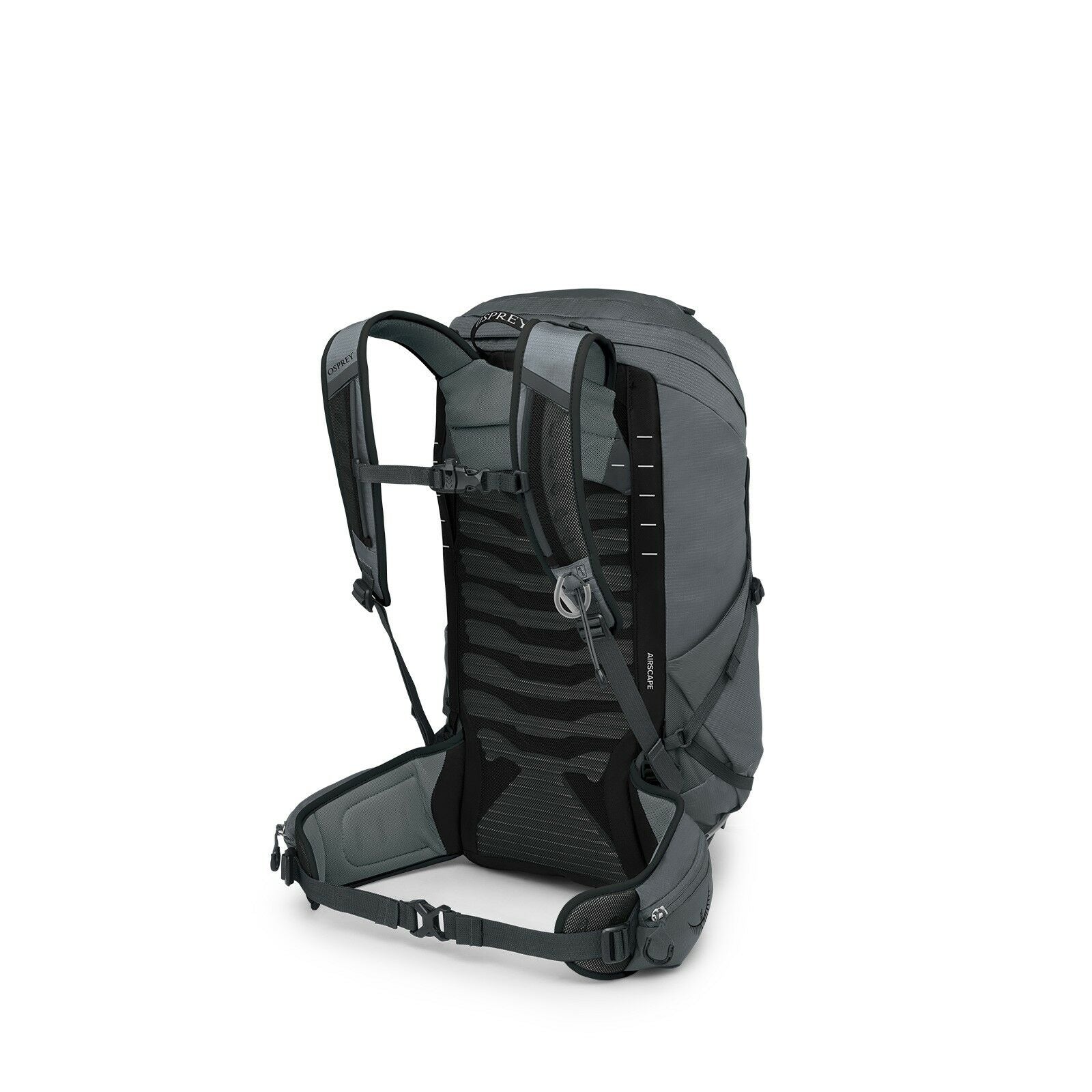 Talon™ 26