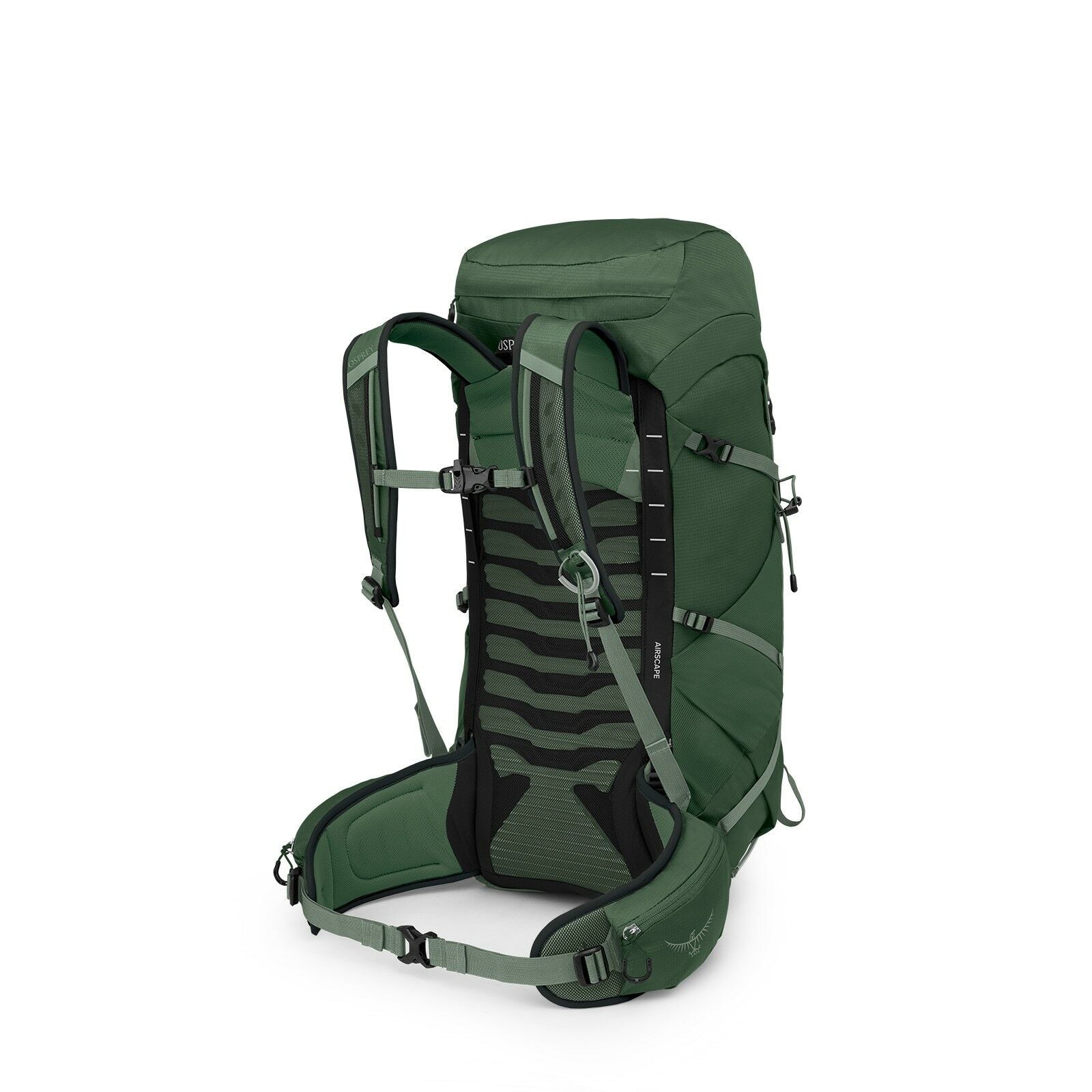 Talon™ 33