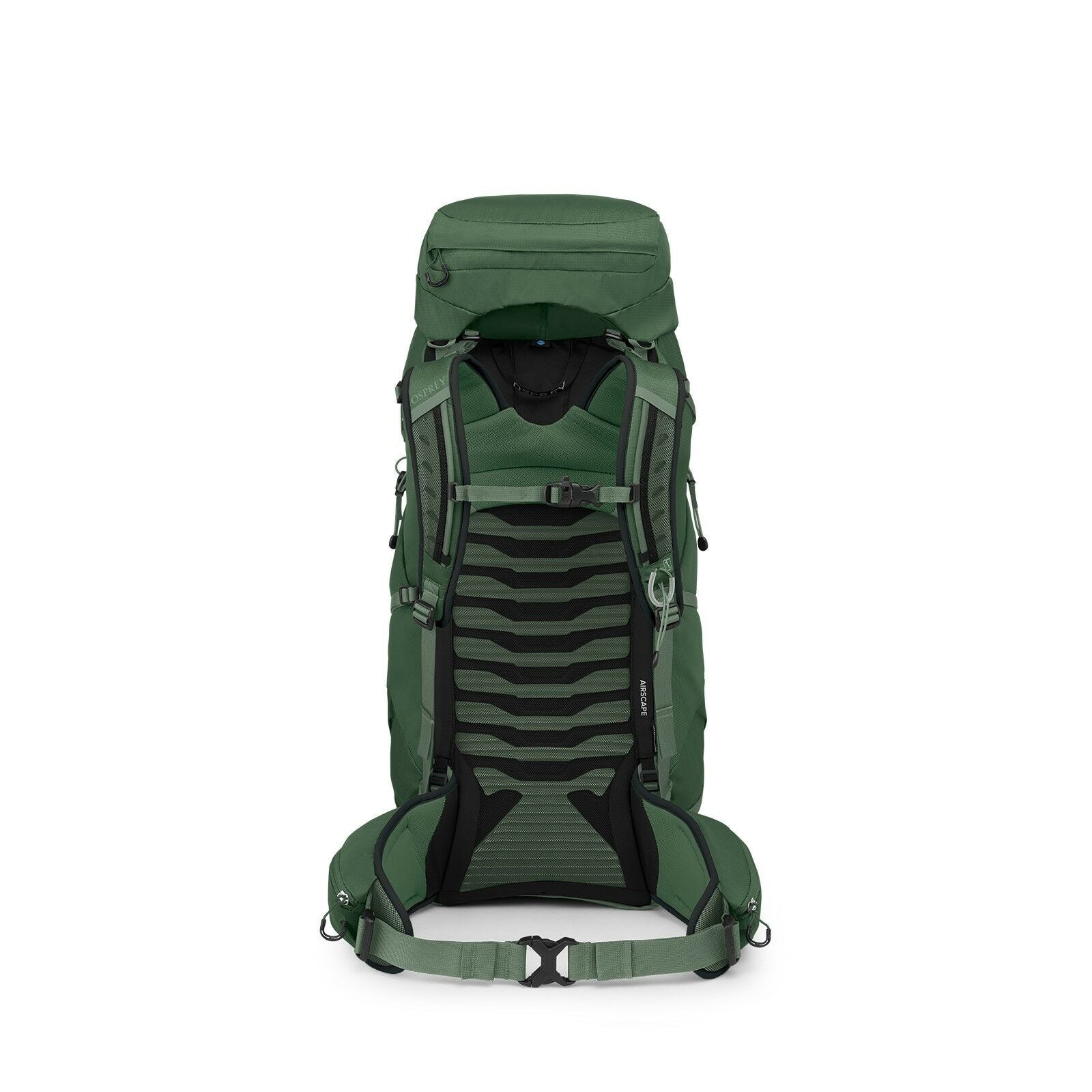 Talon™ 44