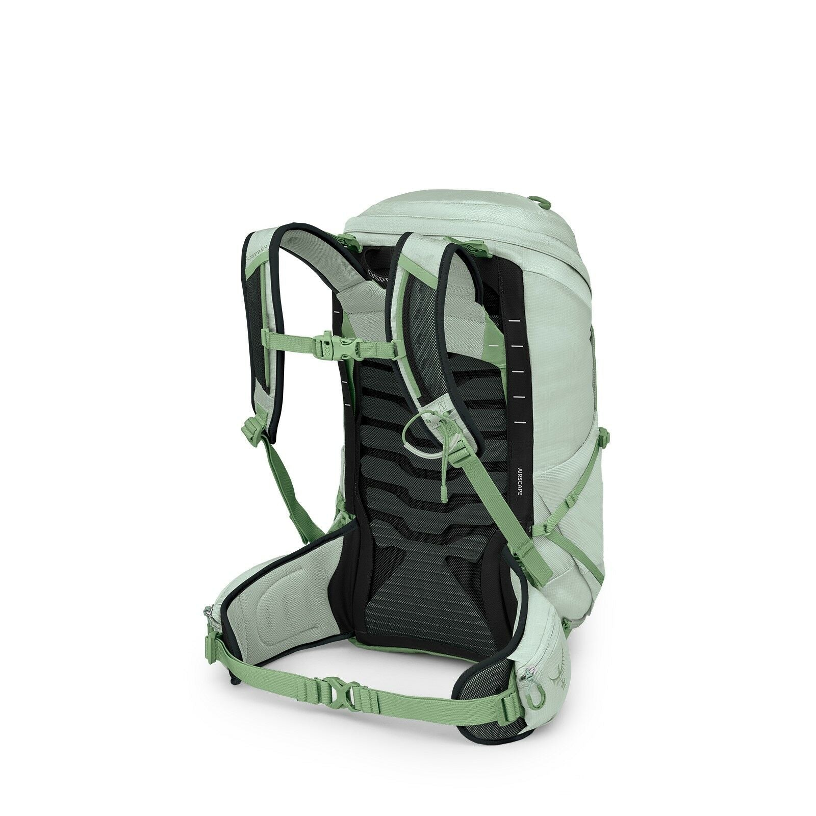 Tempest™ 26