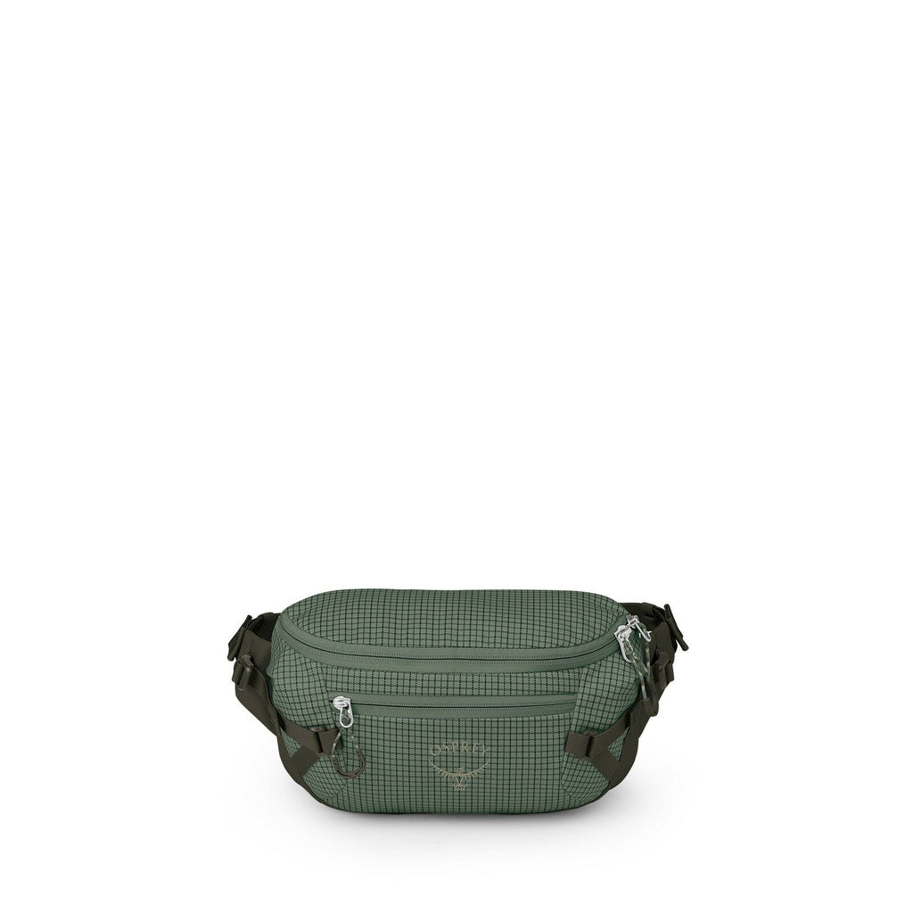 Front image of the Transporter Waist Pack in the color Pine Leaf
