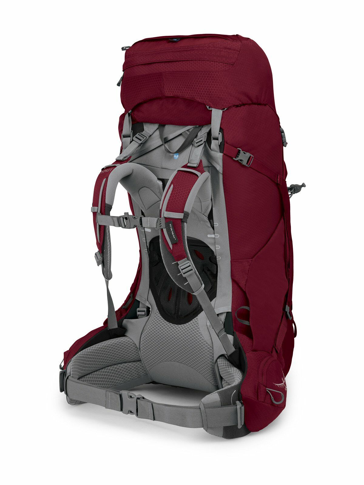 a 4/5 view of the ARIEL 65 in color claretred