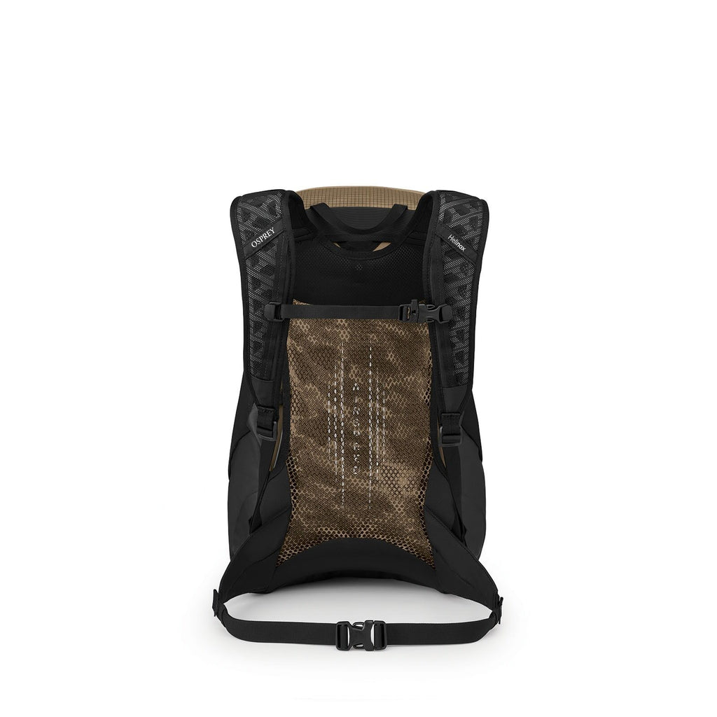 Back image of the Campcore Hikelite LT 22 Hiking Backpack in the color Latte Brown
