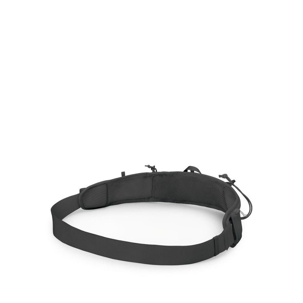 The image shows a dark-colored, padded belt that appears to be a waist strap, possibly designed for outdoor activities or attaching accessories. The belt features a large buckle and has multiple loops for attaching gear, such as carabiners or other access