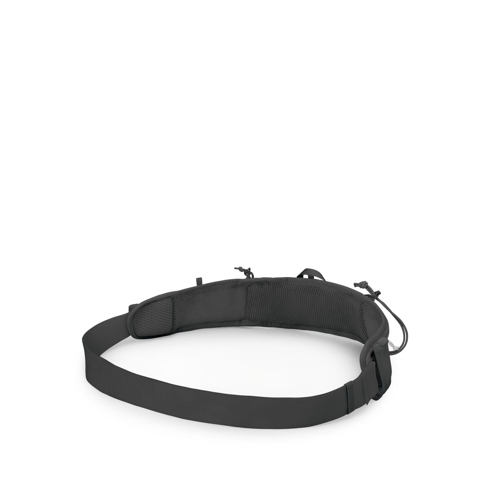 The image shows a dark-colored, padded belt that appears to be a waist strap, possibly designed for outdoor activities or attaching accessories. The belt features a large buckle and has multiple loops for attaching gear, such as carabiners or other access