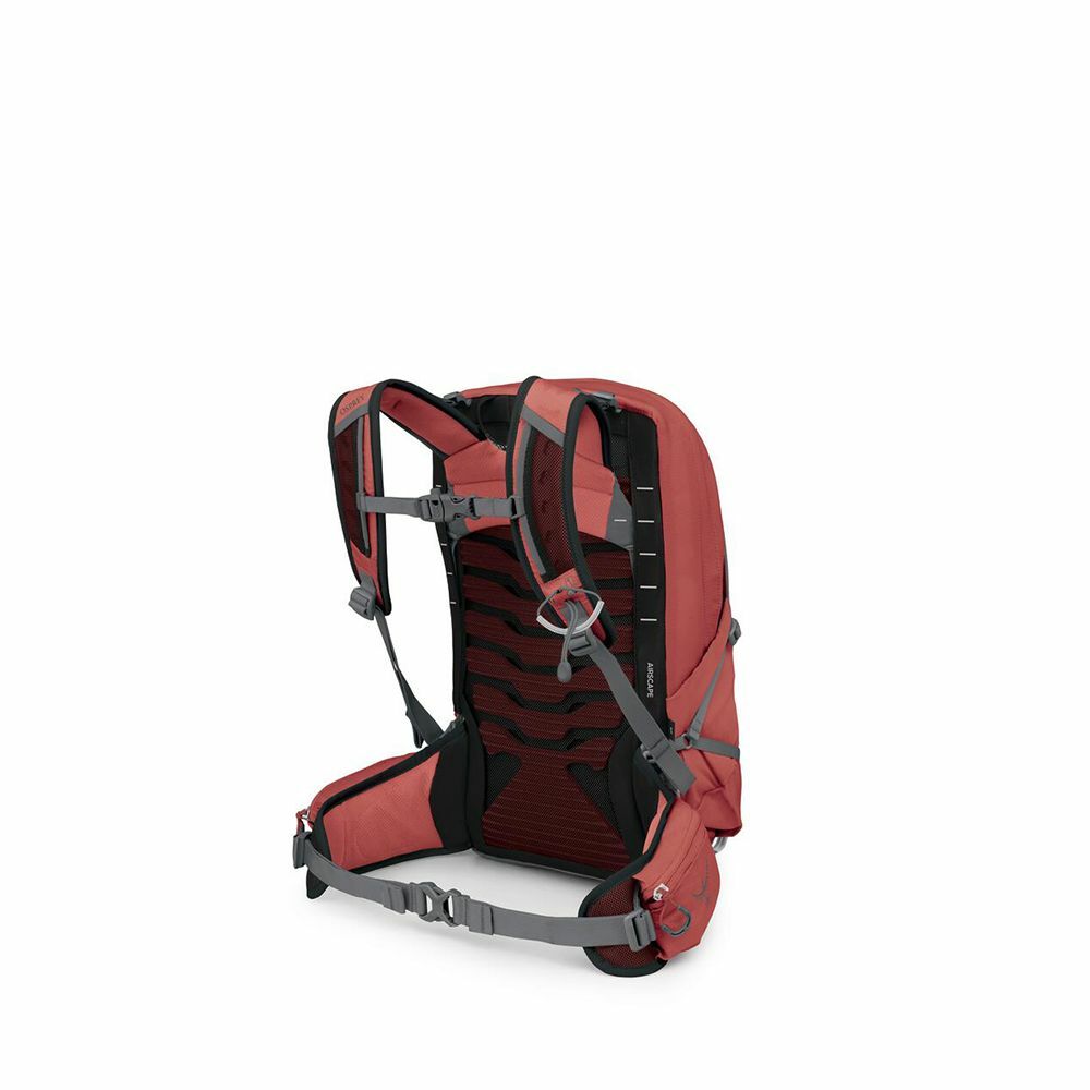 Tempest™ 11