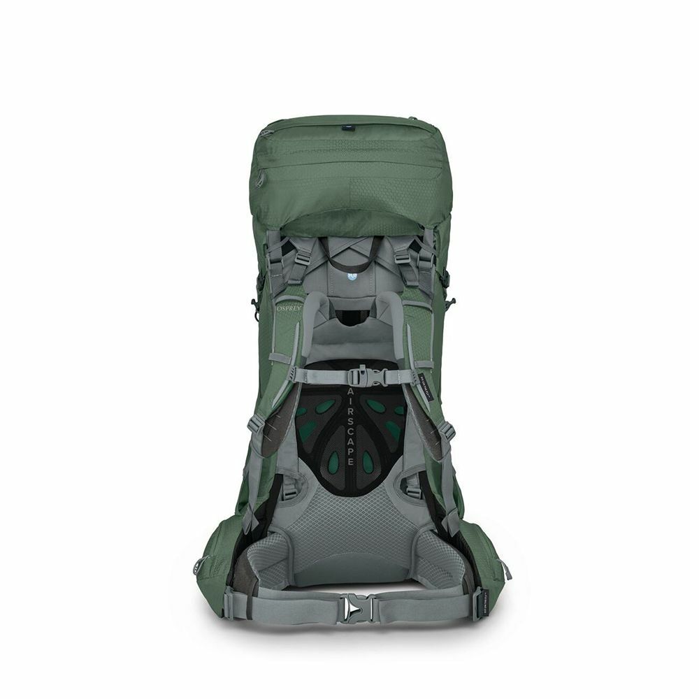 back  image of the Ariel 65 in the color Koseret Green