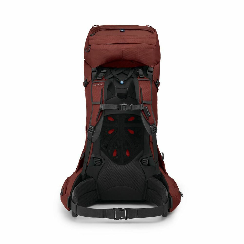 back view of the AETHER 55 in color Deep Acorn Red
