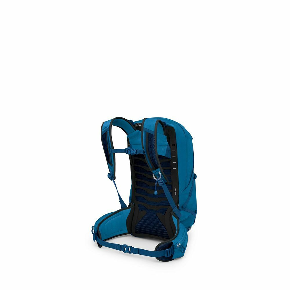 Talon™ 22