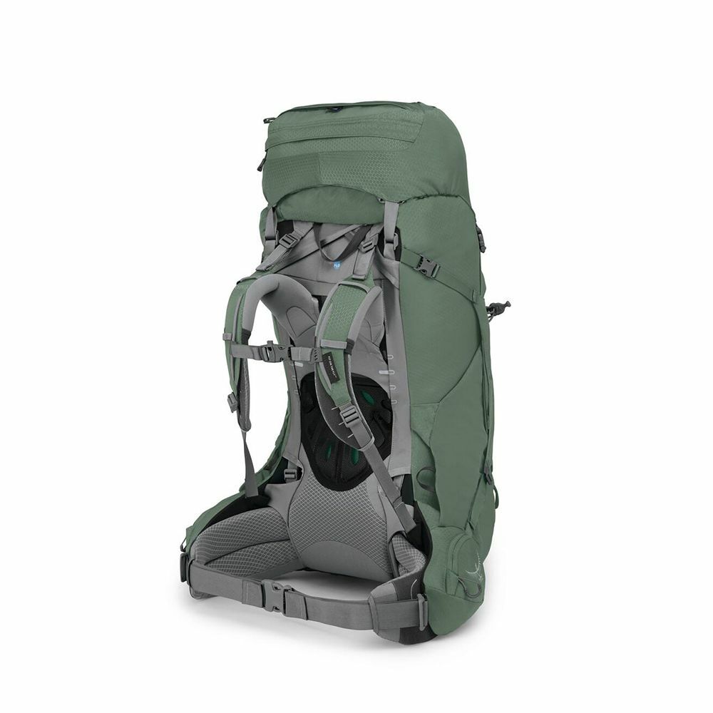 side back image of the Ariel 65 in the color Koseret Green