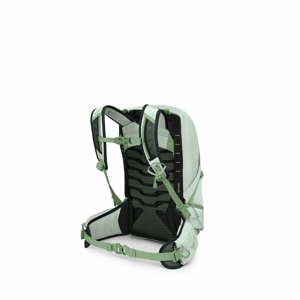 Tempest™ 11