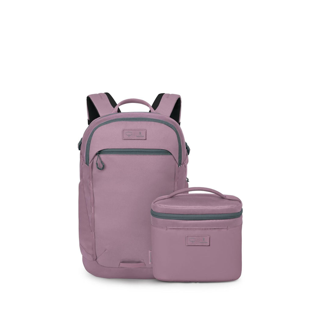 Front image of the Osprey Hydro Flask Axis Lunch Bag in the color Iris.