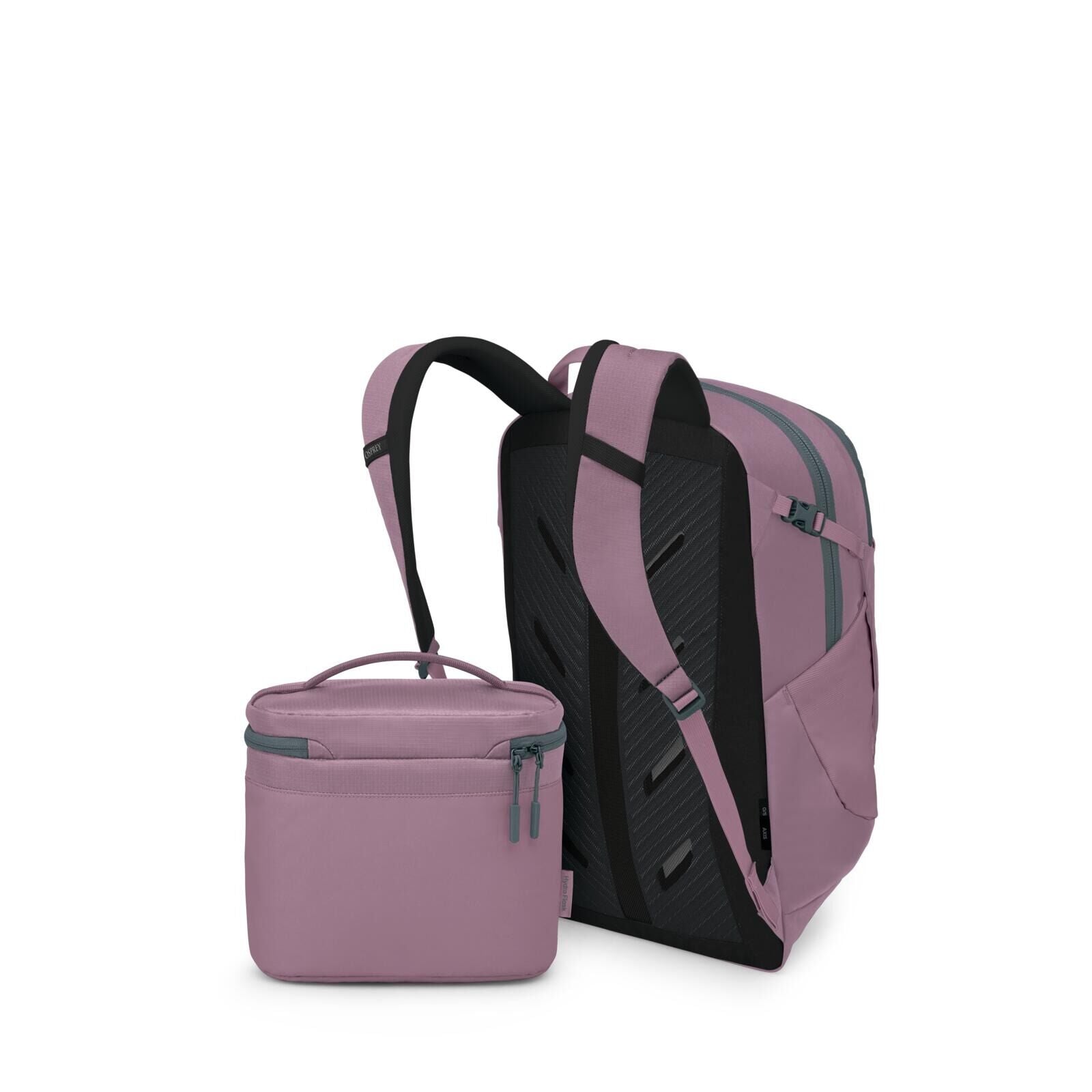 Sideback image of the Osprey Hydro Flask Axis Lunch Bag in the color Iris.