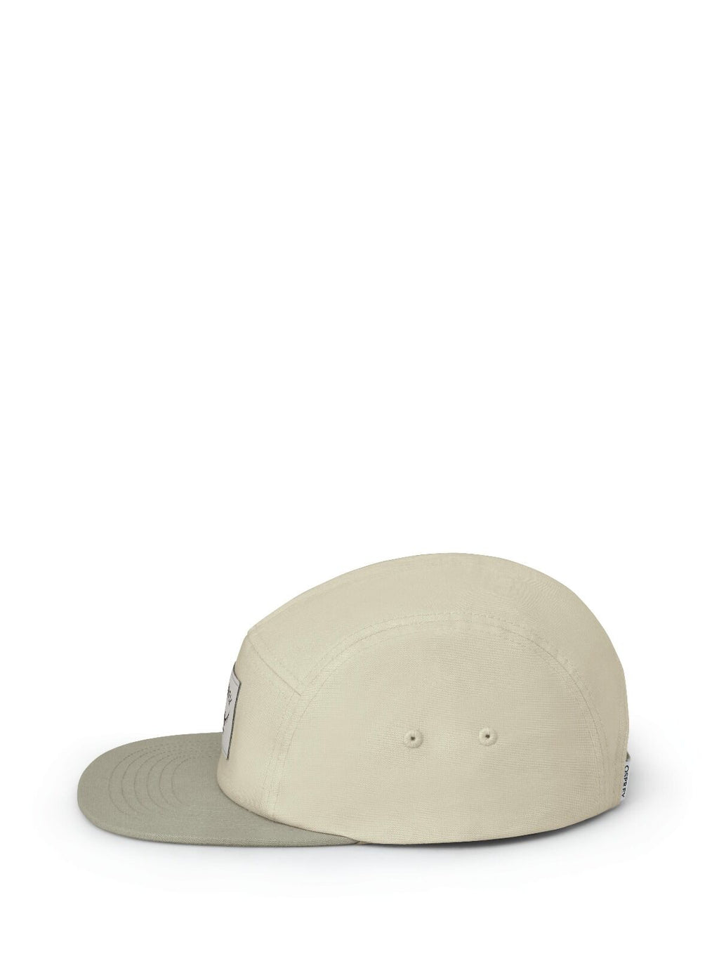 Classic 5-Panel Hat