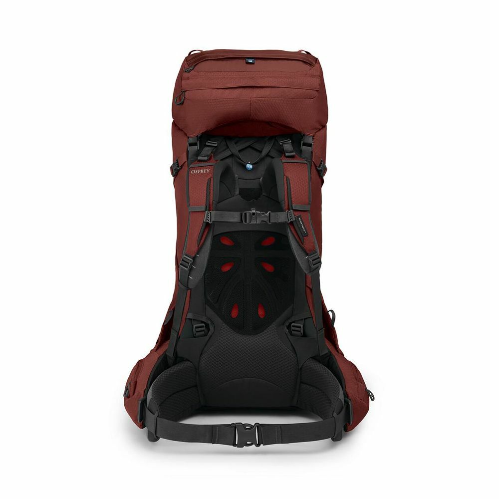 back image of Aether 65 in the color Deep Acorn Red