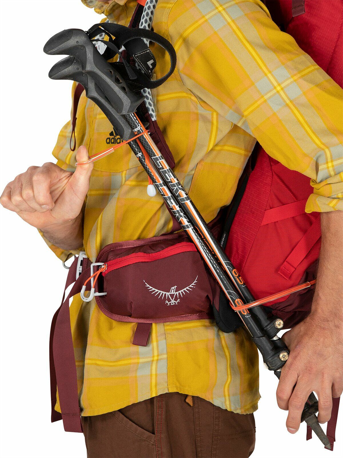 a detail of the STRATOS 34 in color poinsettiared