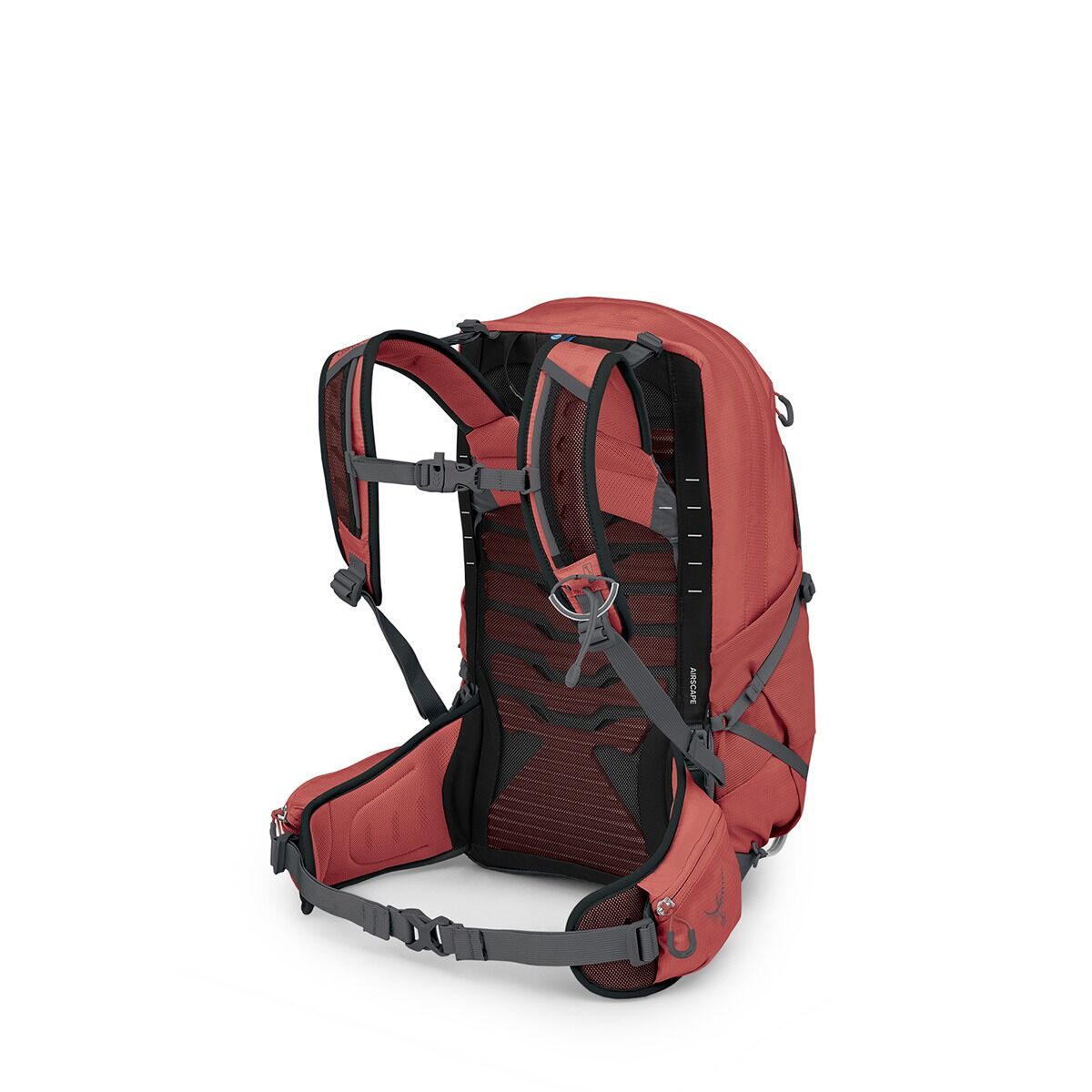 Tempest™ 22