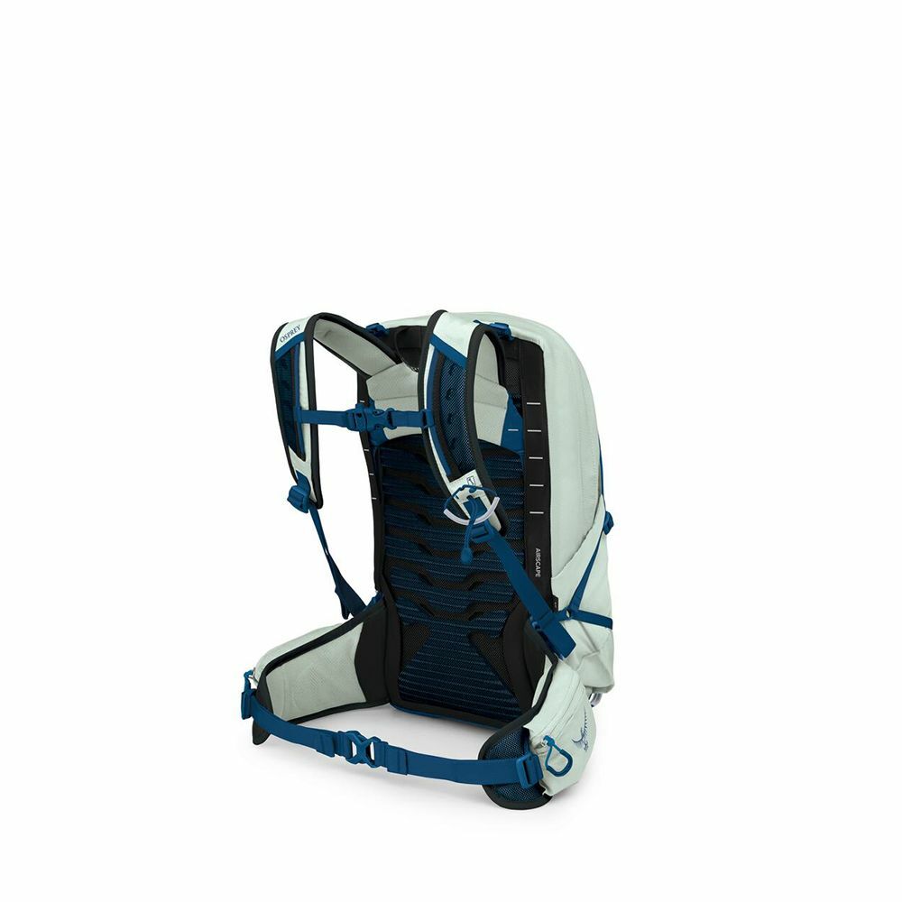 Talon™ 11