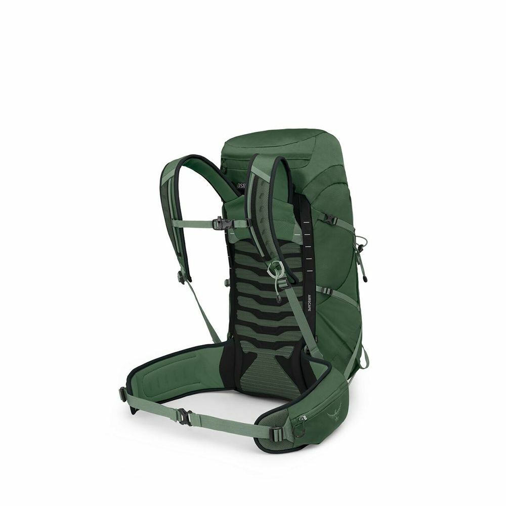 Talon™ 33 Extended Fit