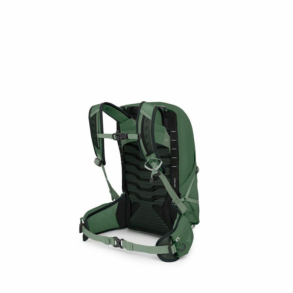 Talon™ 11